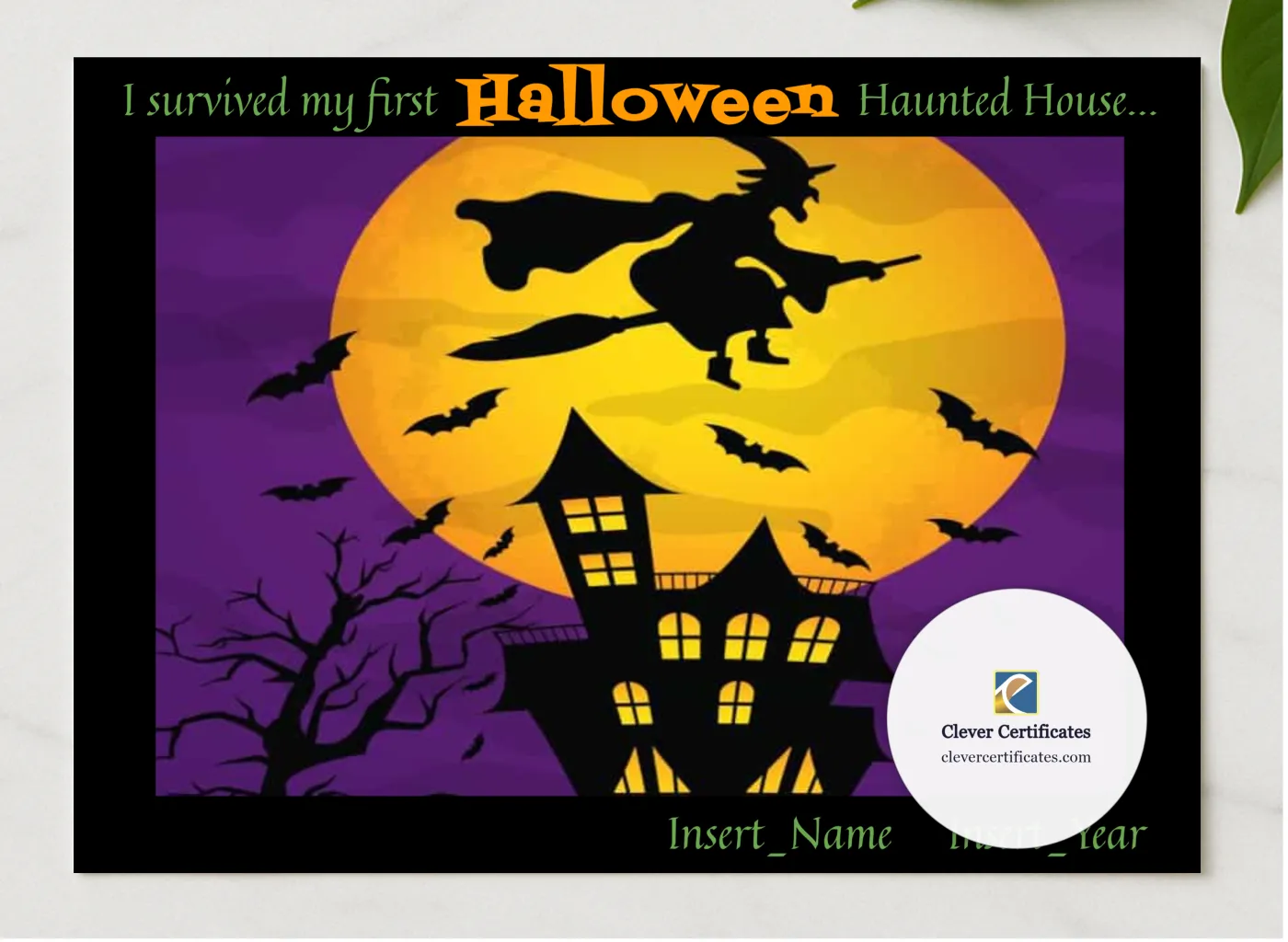 First Haunted House Certificate presented in a sleek wooden frame, elegantly arranged on a stylish table.