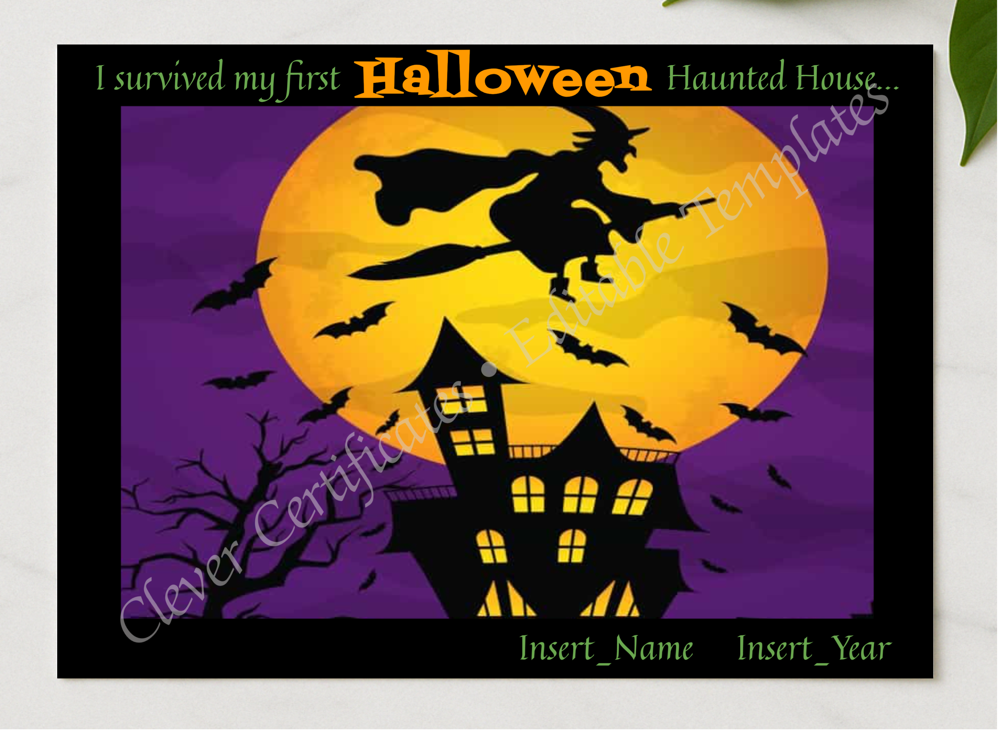 First Haunted House Certificate presented in a sleek wooden frame, elegantly arranged on a stylish table.