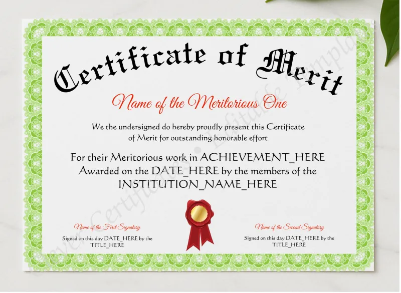 Certificate Of Merit presented in a sleek wooden frame, elegantly arranged on a stylish table.