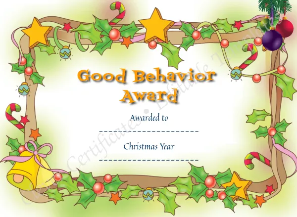 Good Behavior Award