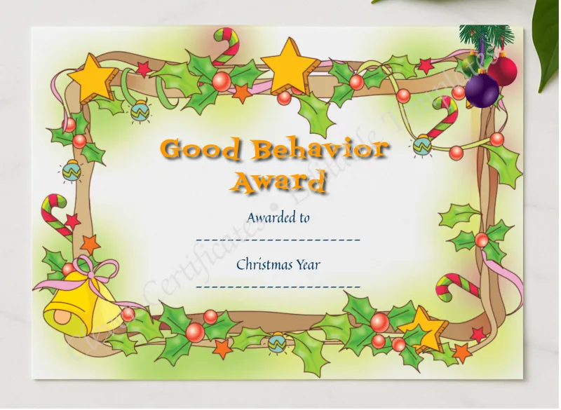 Good Behavior Award presented in a sleek wooden frame, elegantly arranged on a stylish table.