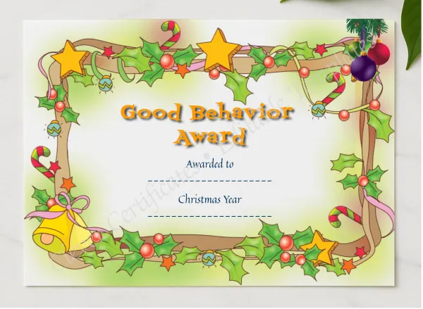 Good Behavior Award presented in a sleek wooden frame, elegantly arranged on a stylish table.
