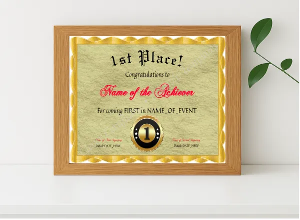 Realistic mockup featuring 1st Place Award displayed within a modern frame, set against a minimalistic background.