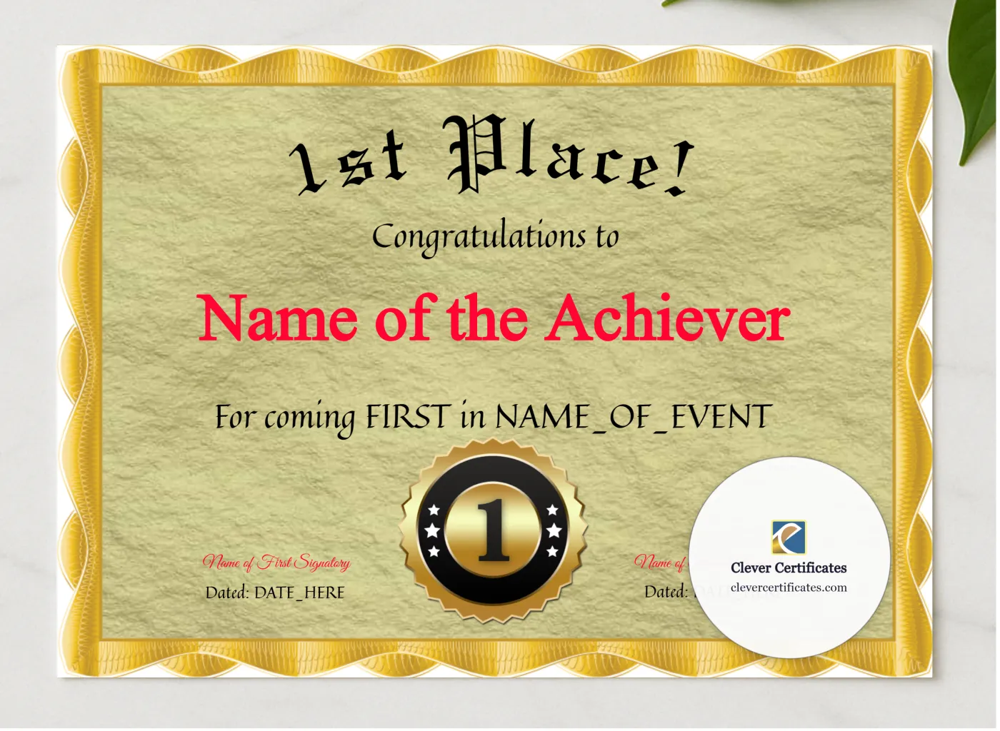 1st Place Award presented in a sleek wooden frame, elegantly arranged on a stylish table.