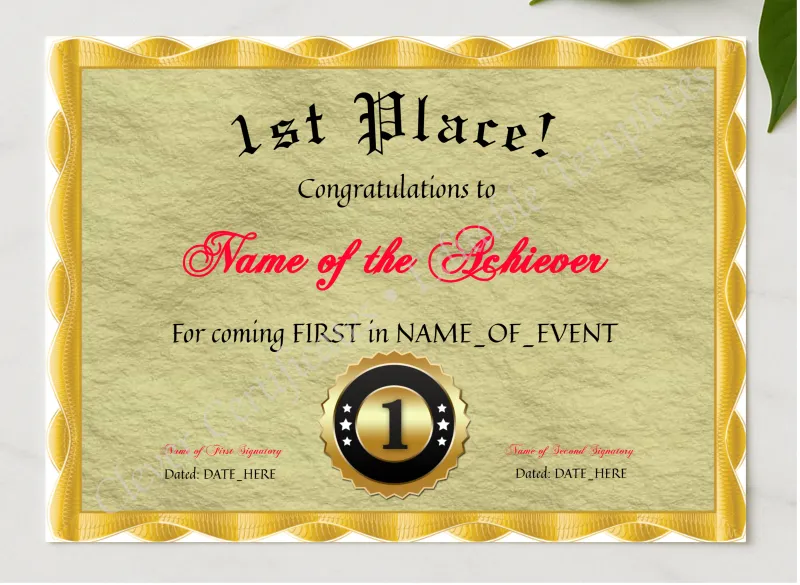 1st Place Award presented in a sleek wooden frame, elegantly arranged on a stylish table.