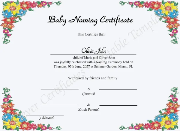 Printable Baby Naming Certificate