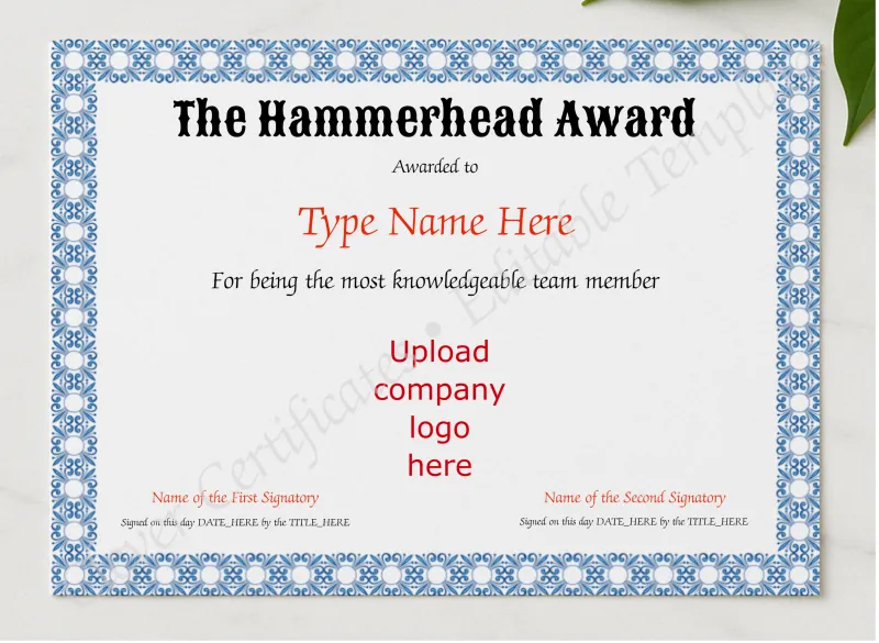 Hammerhead Award presented in a sleek wooden frame, elegantly arranged on a stylish table.