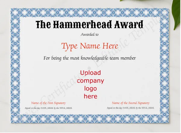Hammerhead Award presented in a sleek wooden frame, elegantly arranged on a stylish table.