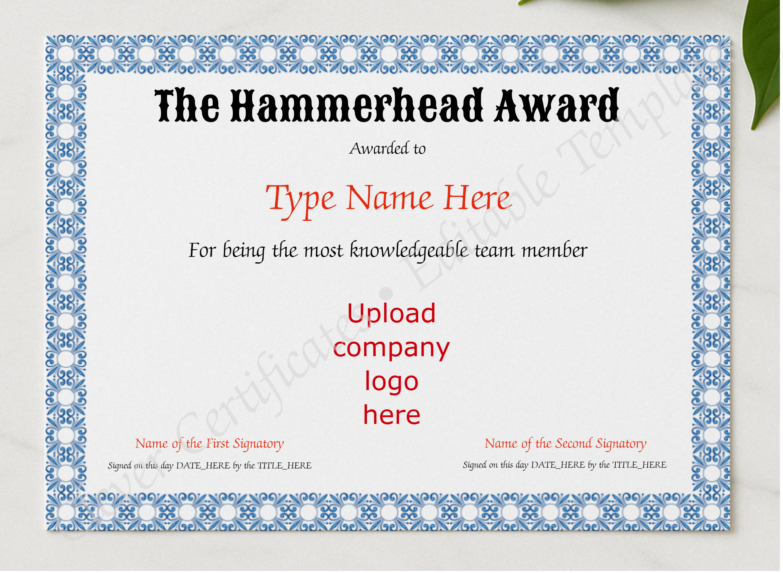 Hammerhead Award presented in a sleek wooden frame, elegantly arranged on a stylish table.