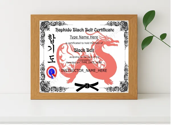 Realistic mockup featuring Printable Hapkido Black Belt Certificate displayed within a modern frame, set against a minimalistic background.