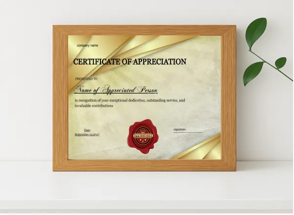 Realistic mockup featuring Certificate Of Appreciation Template displayed within a modern frame, set against a minimalistic background.