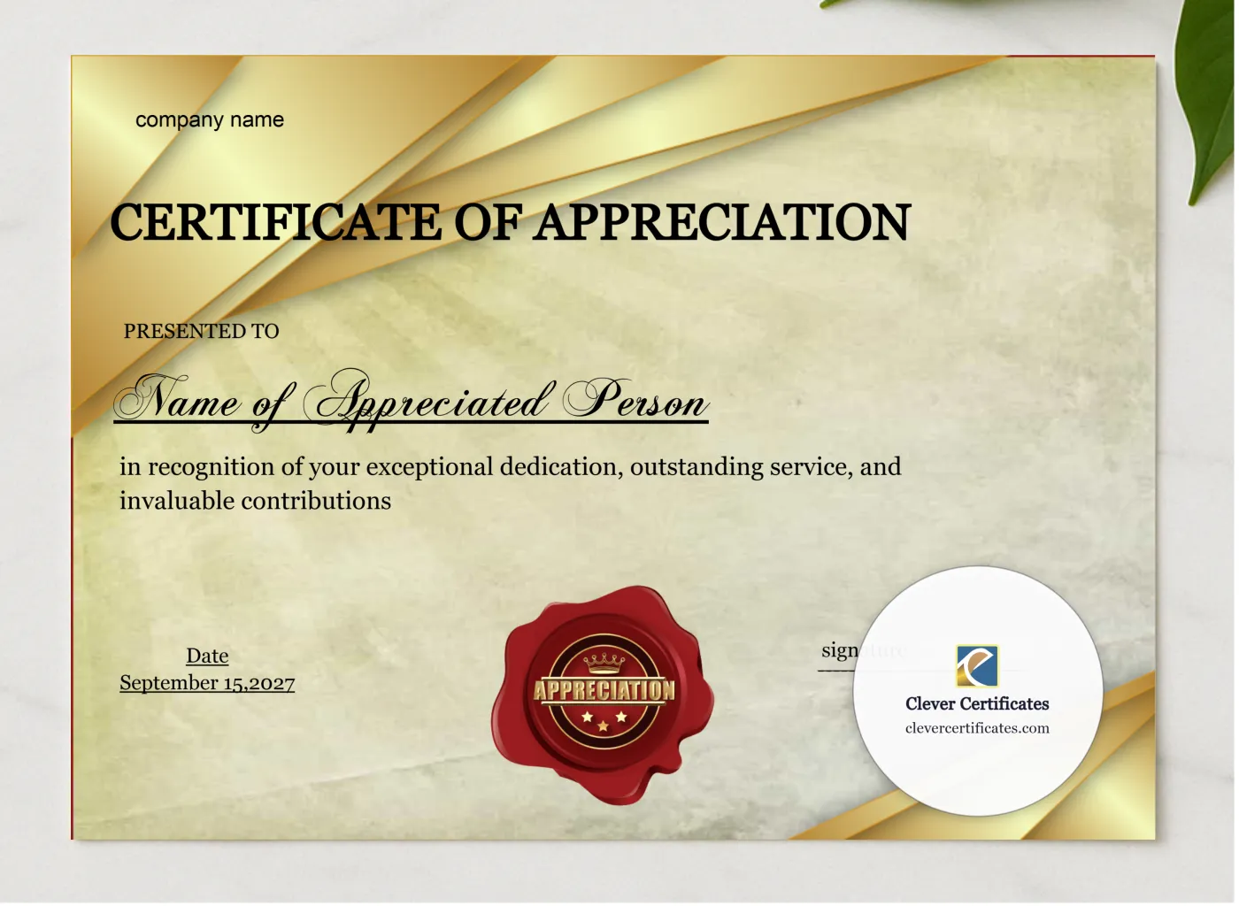 Certificate Of Appreciation Template presented in a sleek wooden frame, elegantly arranged on a stylish table.