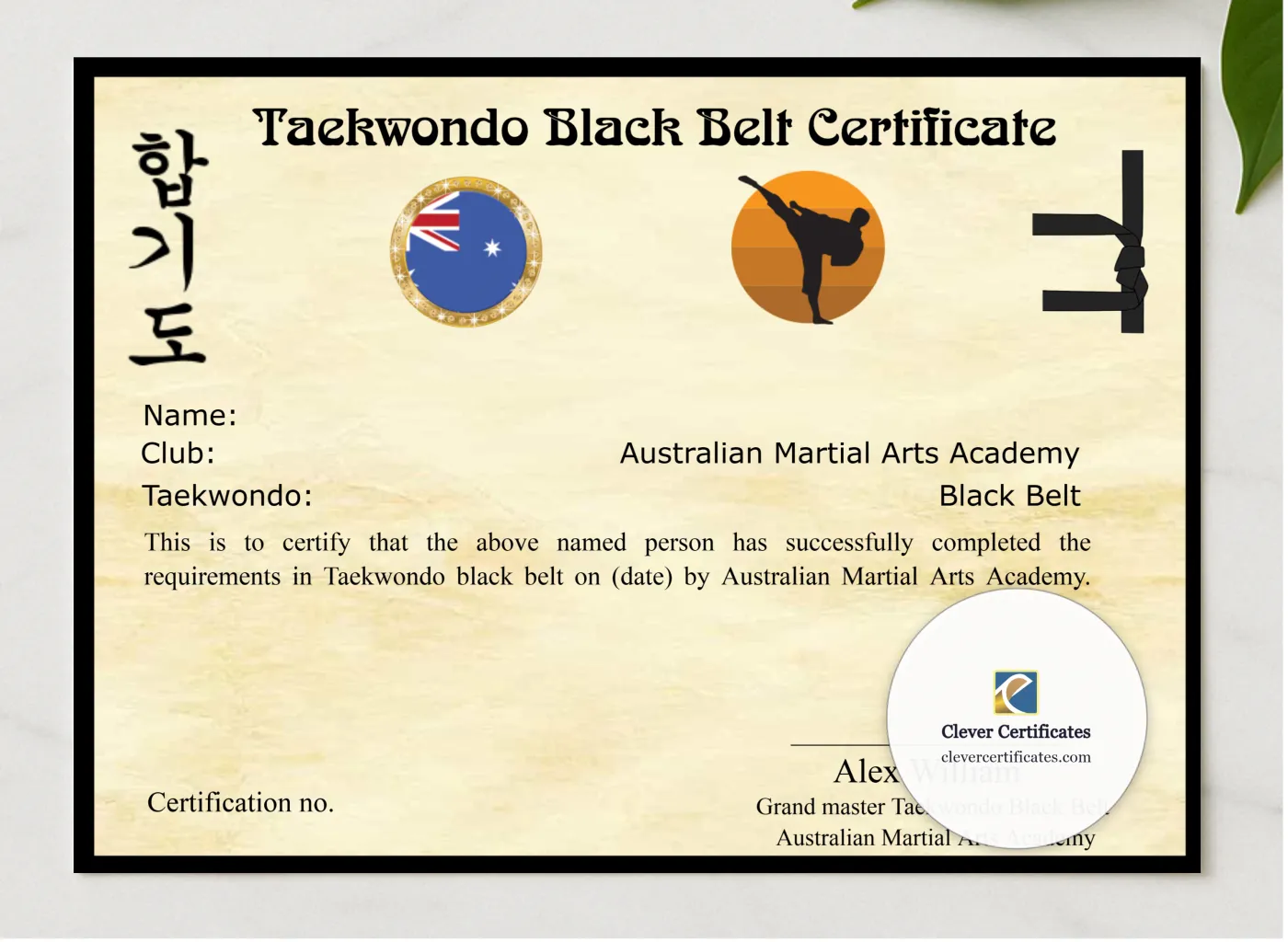 Editable Martial Arts Certificate presented in a sleek wooden frame, elegantly arranged on a stylish table.