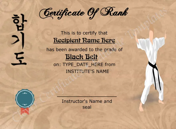 Martial Arts Award Certificate