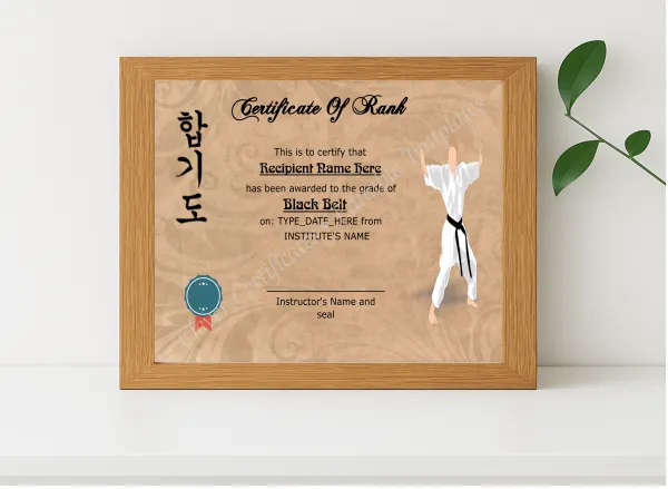Realistic mockup featuring Martial Arts Award Certificate displayed within a modern frame, set against a minimalistic background.