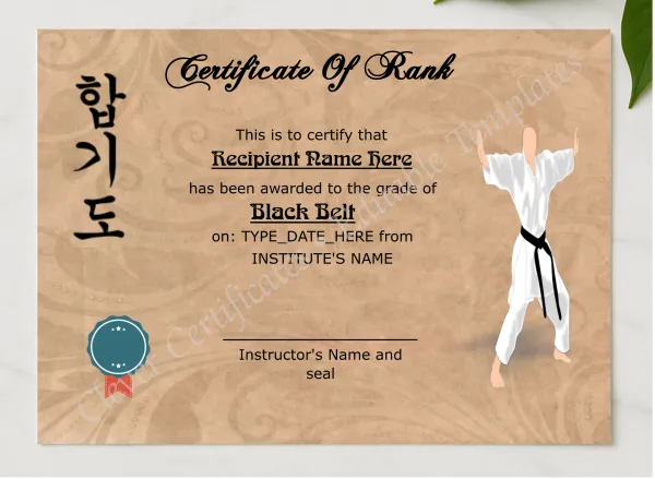 Martial Arts Award Certificate presented in a sleek wooden frame, elegantly arranged on a stylish table.