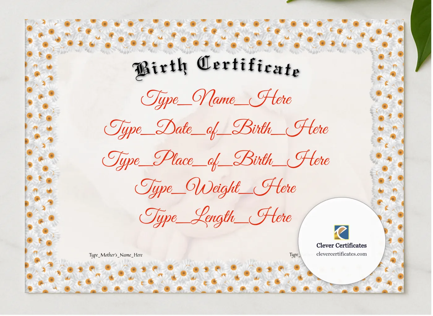 Birth Certificate presented in a sleek wooden frame, elegantly arranged on a stylish table.