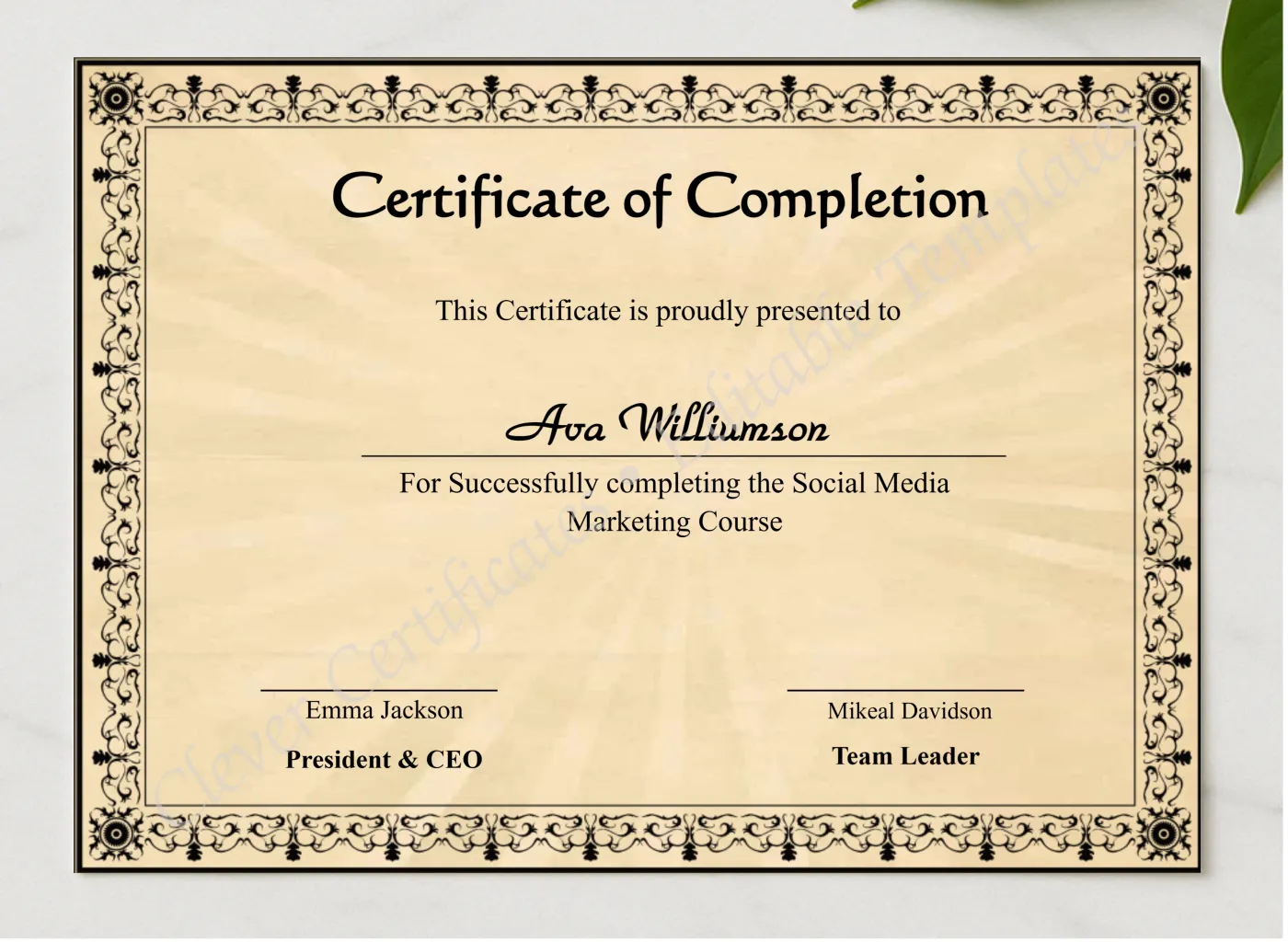 Professional Course Completion Certificate presented in a sleek wooden frame, elegantly arranged on a stylish table.