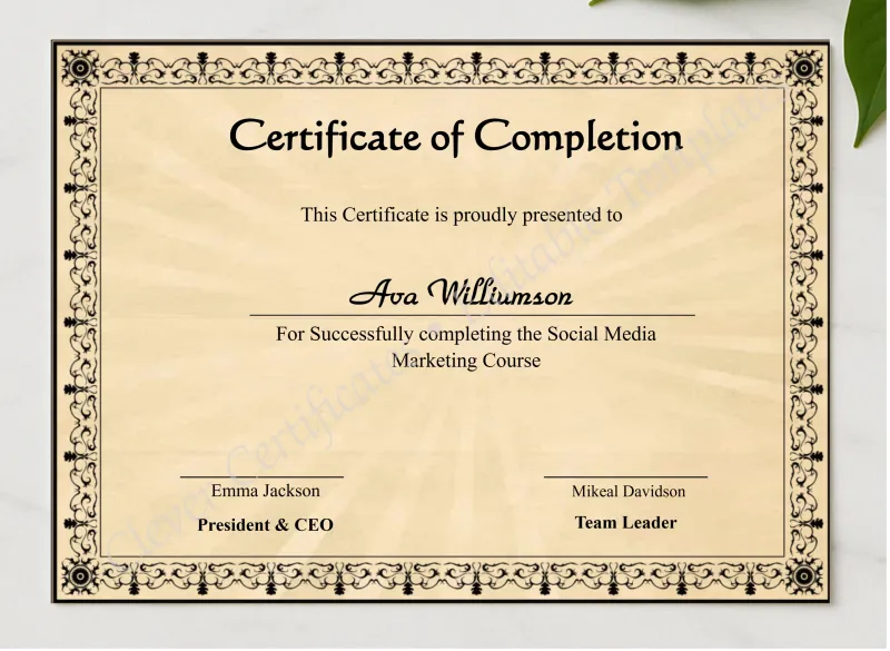 Professional Course Completion Certificate presented in a sleek wooden frame, elegantly arranged on a stylish table.