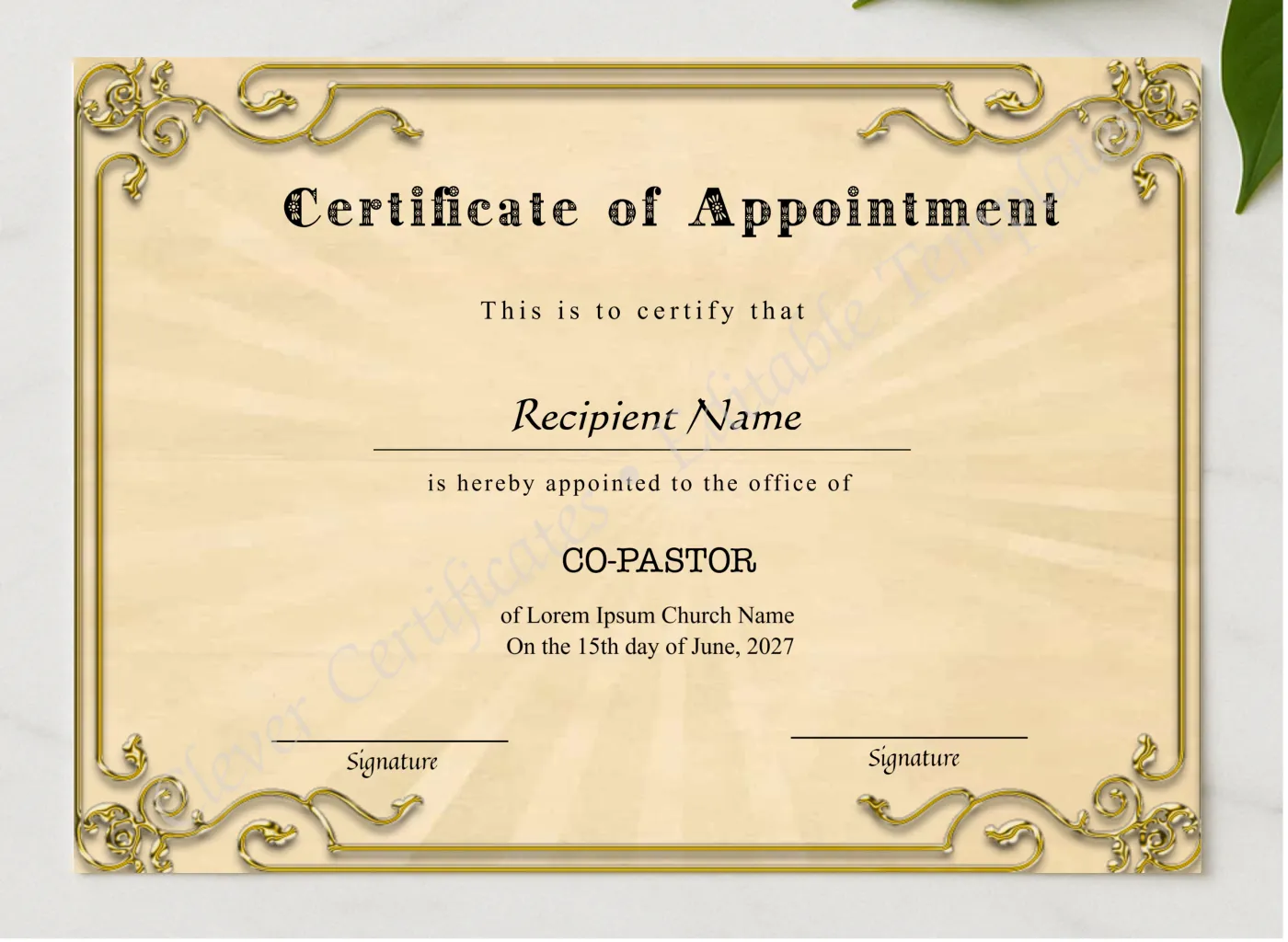 Editable Appointment Certificate presented in a sleek wooden frame, elegantly arranged on a stylish table.