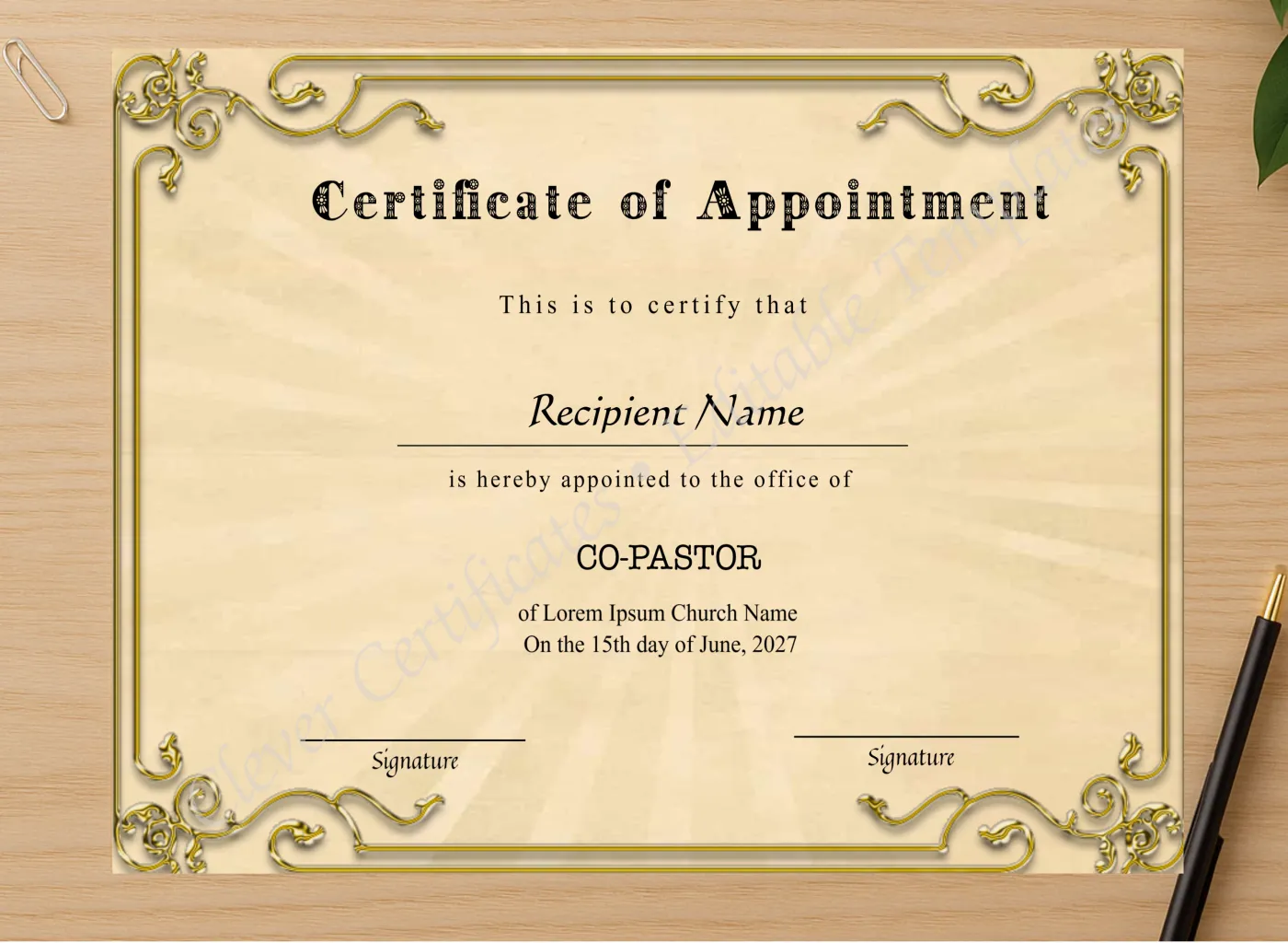 Professional preview of Editable Appointment Certificate certificate on high-quality stationery paper, ideal for showcasing the final look.