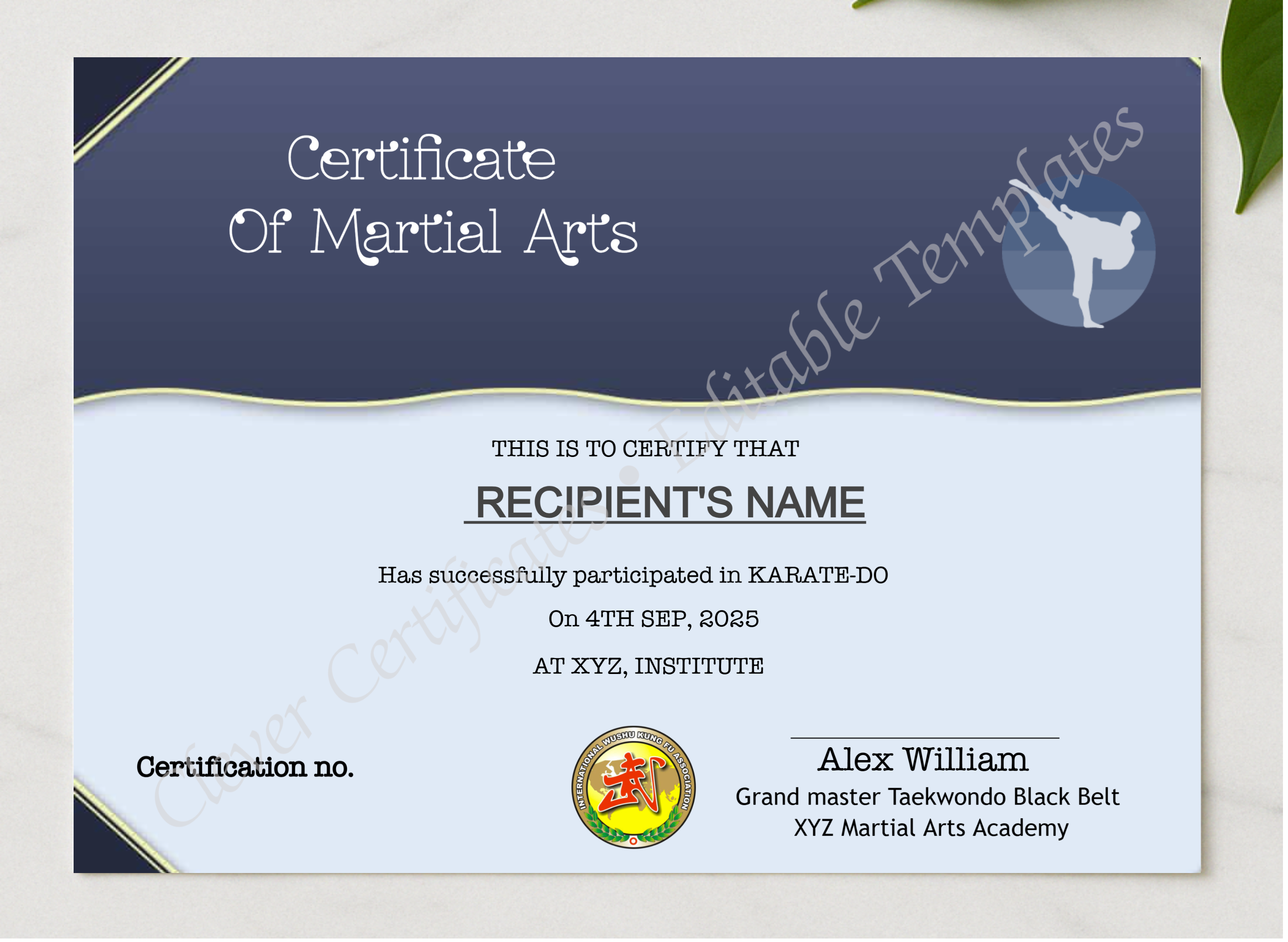 Editable Martial Arts Certificate Template presented in a sleek wooden frame, elegantly arranged on a stylish table.