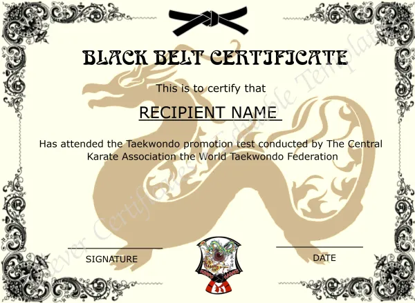 Printable Martial Arts Certificate