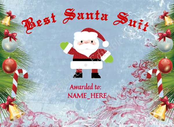 Best Santa Suit Award