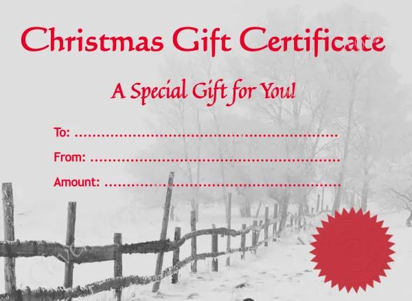 Christmas Gift Certificate 2