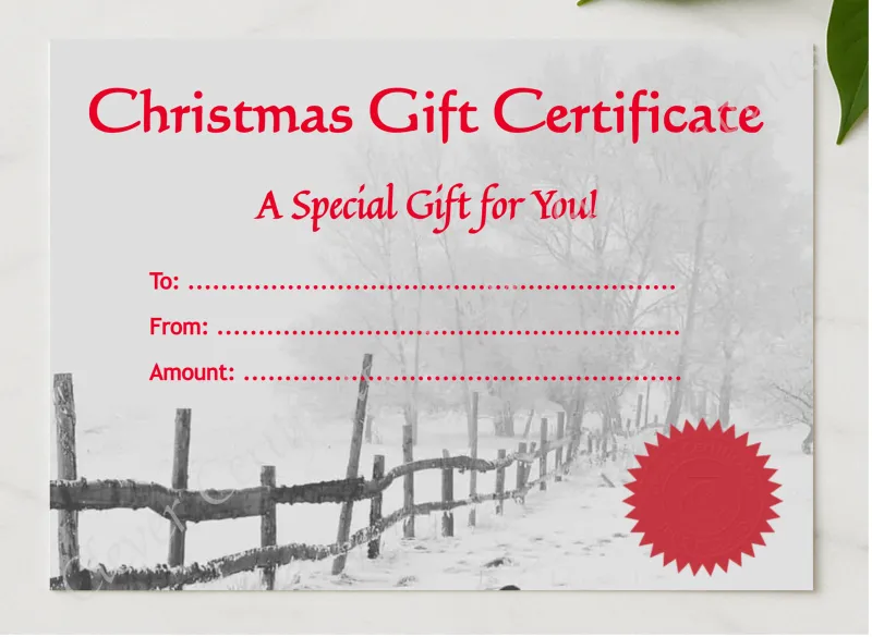 Christmas Gift Certificate 2 presented in a sleek wooden frame, elegantly arranged on a stylish table.