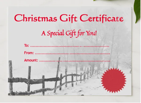 Christmas Gift Certificate 2 presented in a sleek wooden frame, elegantly arranged on a stylish table.