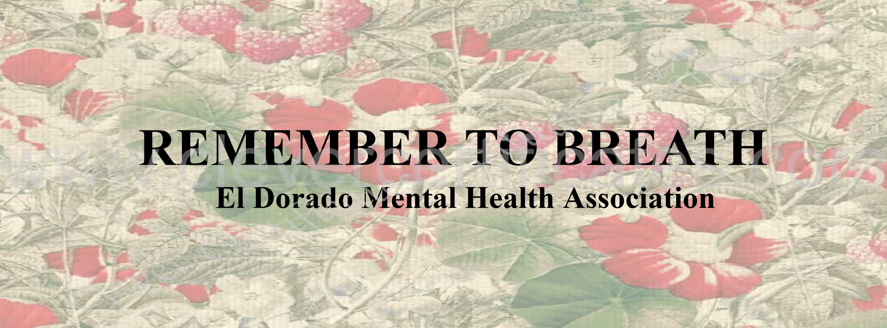 Breath Outdoor Photo Facebook Cover — Certificate Template Preview
