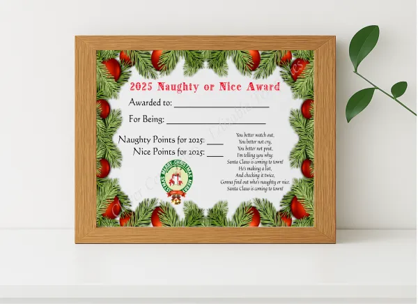 Realistic mockup featuring Naughty Or Nice Award displayed within a modern frame, set against a minimalistic background.