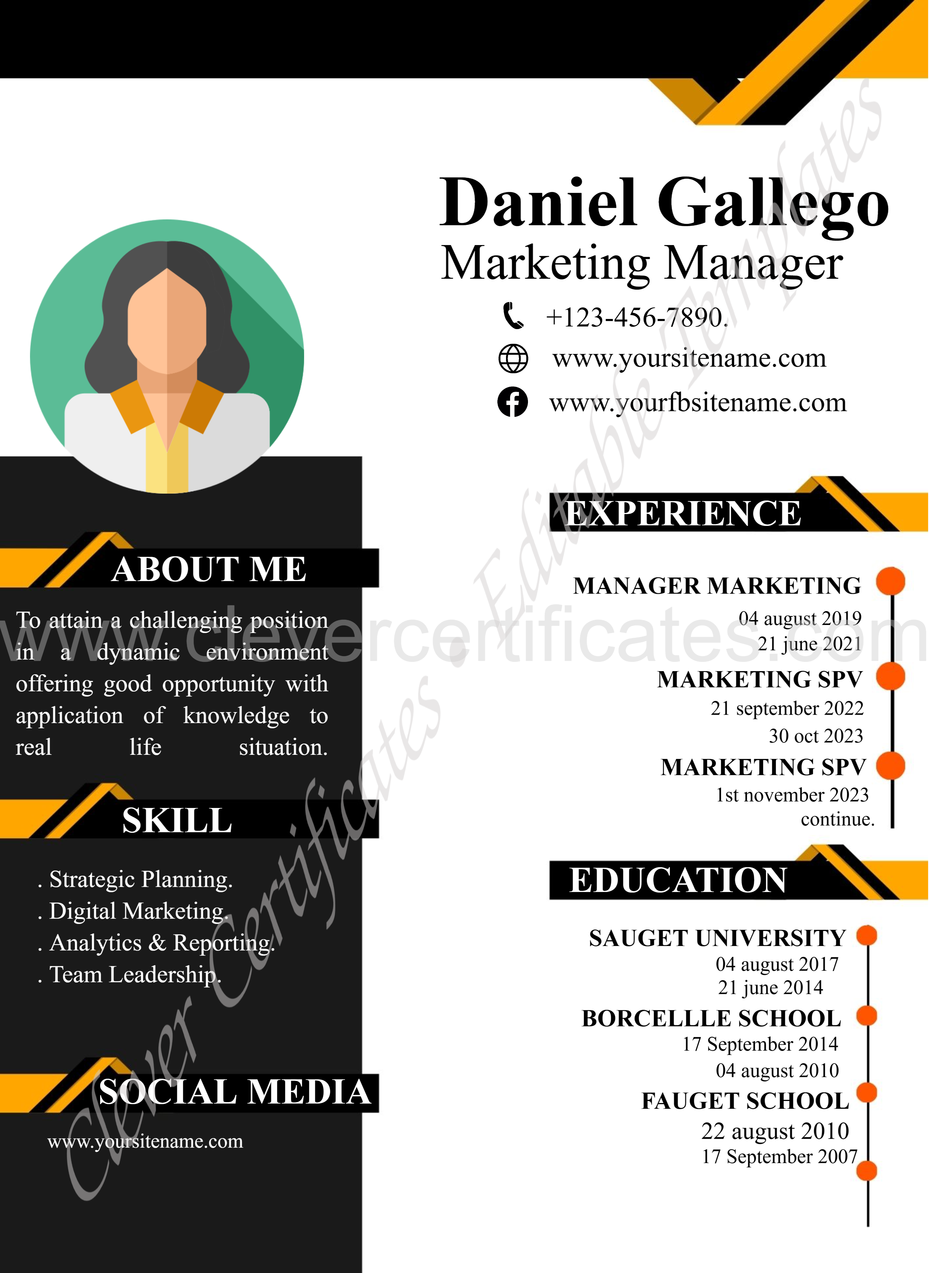 EDITABLE PROFESSIONAL CV — Certificate Template Preview