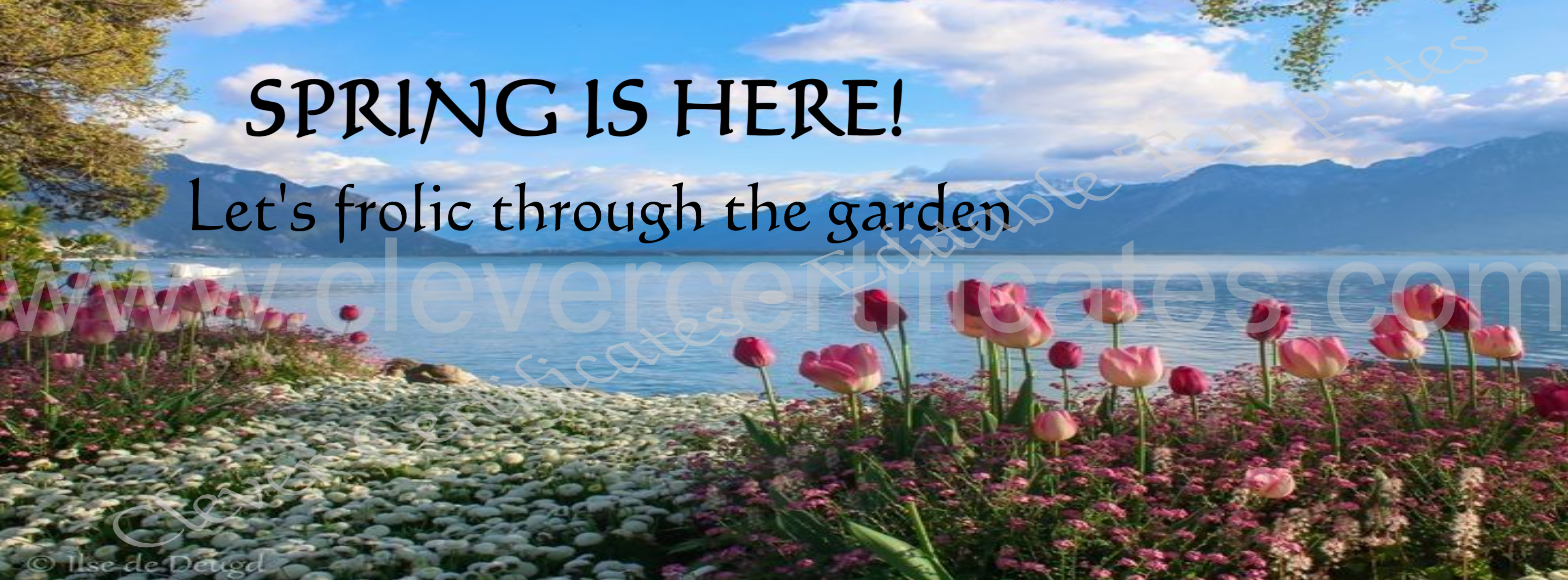 Editable Flower Photo Spring Facebook Cover  — Certificate Template Preview