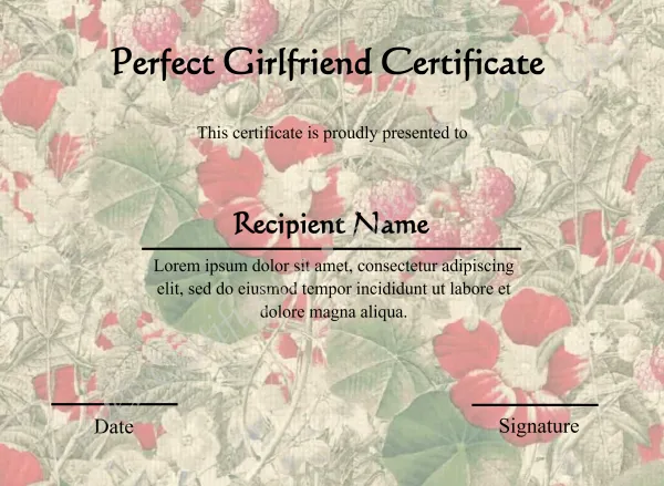 Customizeable Perfect Girlfriend Certificate 
